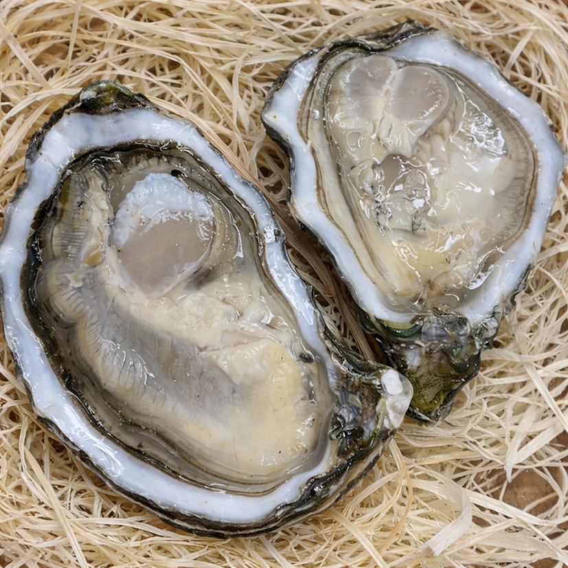 OSTRICA CONCAVA GILLARDEAU N.3 - 1x2,25kg