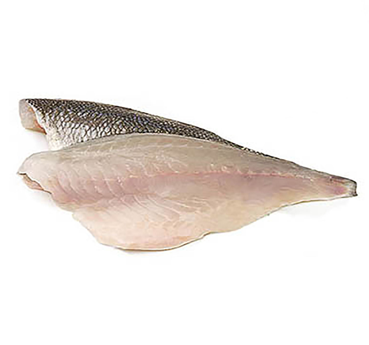 ORATA FILETTO 200g+ ALLEVATA