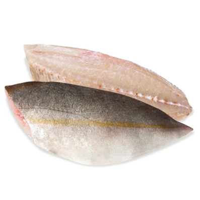 BERNSTEINFISCH GELBSCHWANZMAKRELE FIL. 500g+ ZUCHT