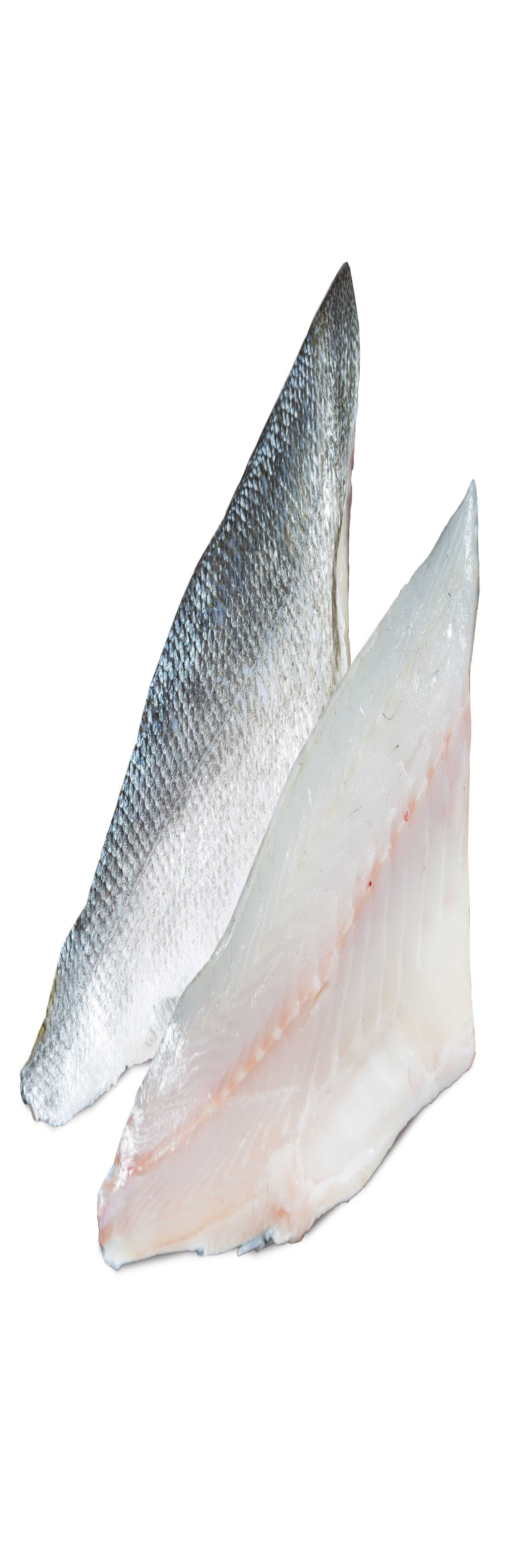 BRANZINO FILETTO 200g+ ALLEVATO