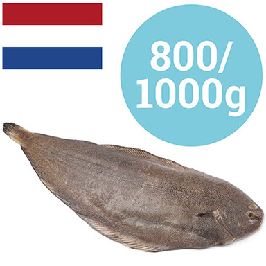 PESCE CASTAGNA 3-5kg