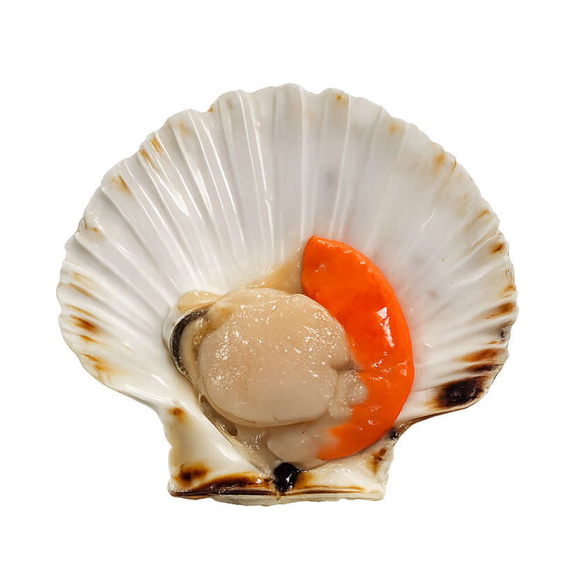 CAPPASANTA ATLANTICA - Mezzo guscio -