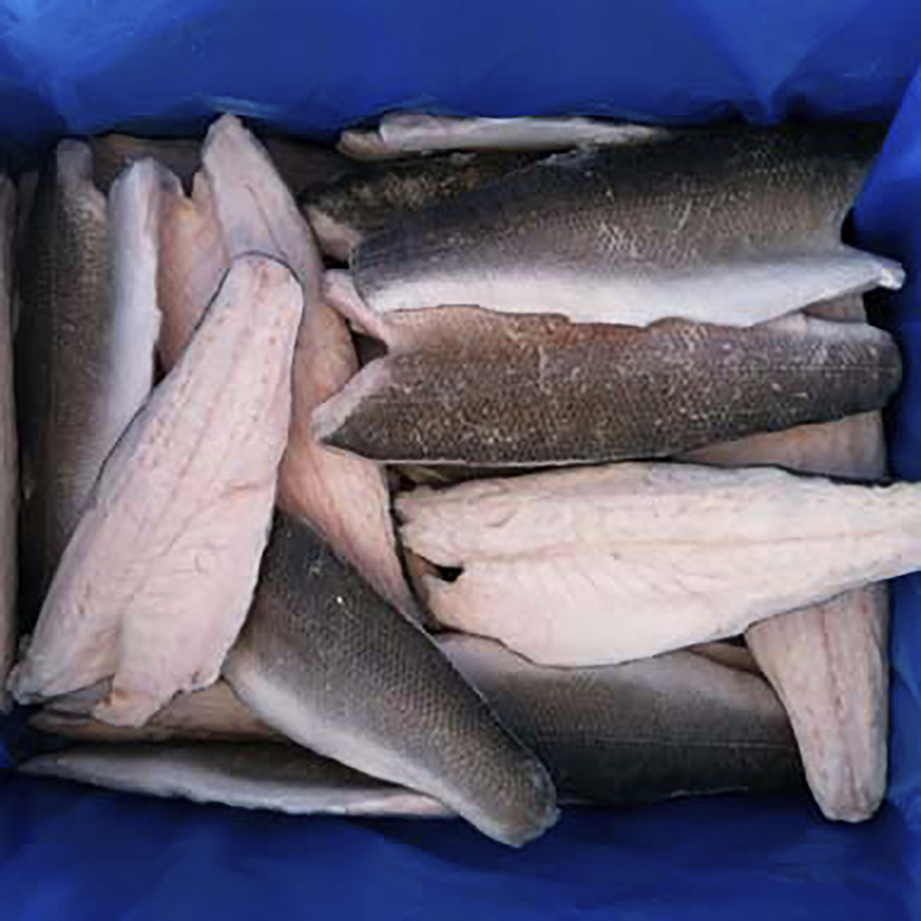BRANZINO FILETTI CON PELLE 200g+ PESO NETTO CG.