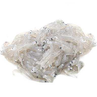 ROSSETTI MEDITERRANEO