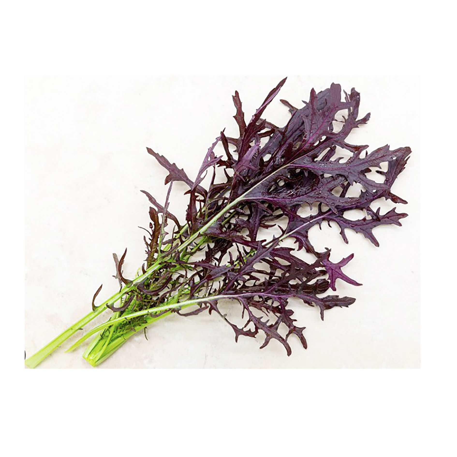 ALPIN HERBS PUNTE DI MIZUNA ROSSA 50g
