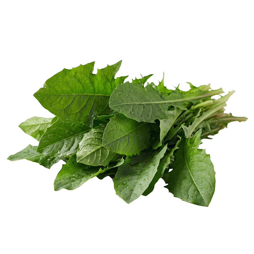 ALPIN HERBS LÖWENZAHNBLÄTTER 50g