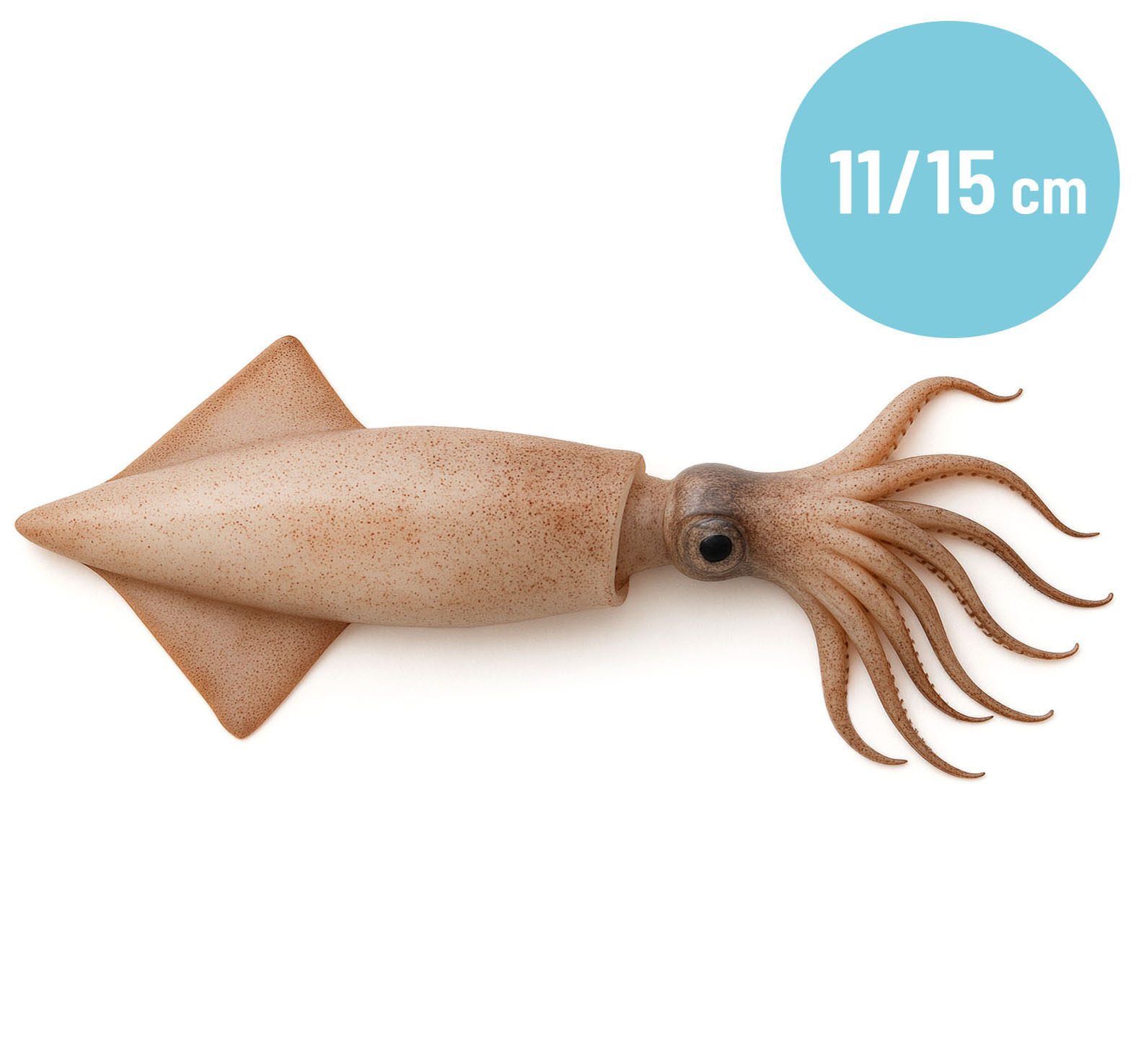CALAMARI 3P 11/15cm MAROCCO CONG.