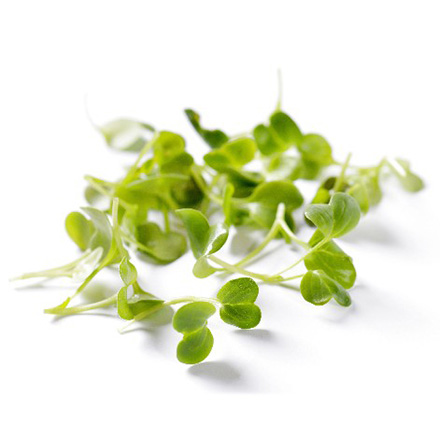 ALPIN HERBS GRÜNE RADISCHENKRESSE GESCHNITTEN 70g