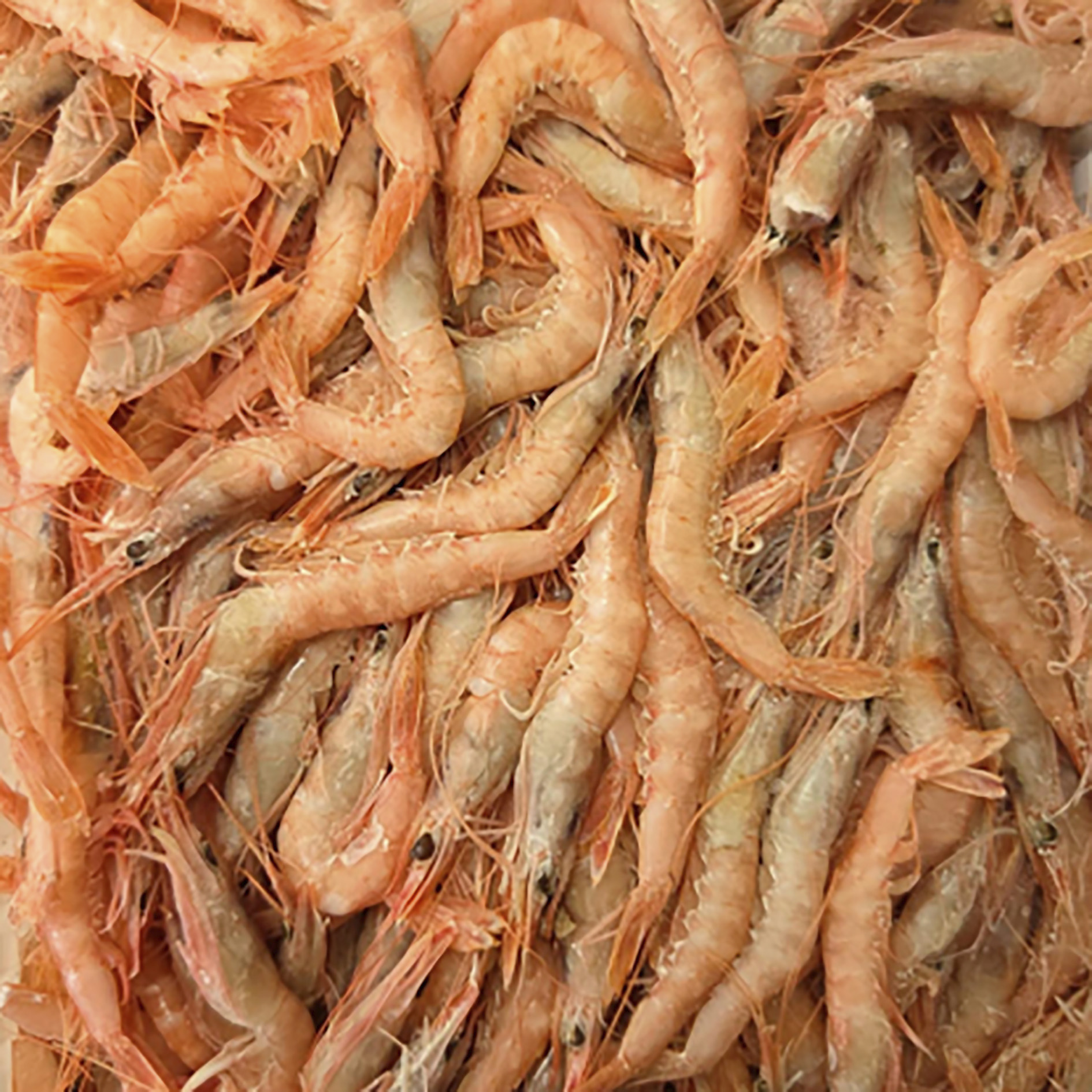 GARNELEN ROSA SIZILIEN III 360/500 2kg GEFR.