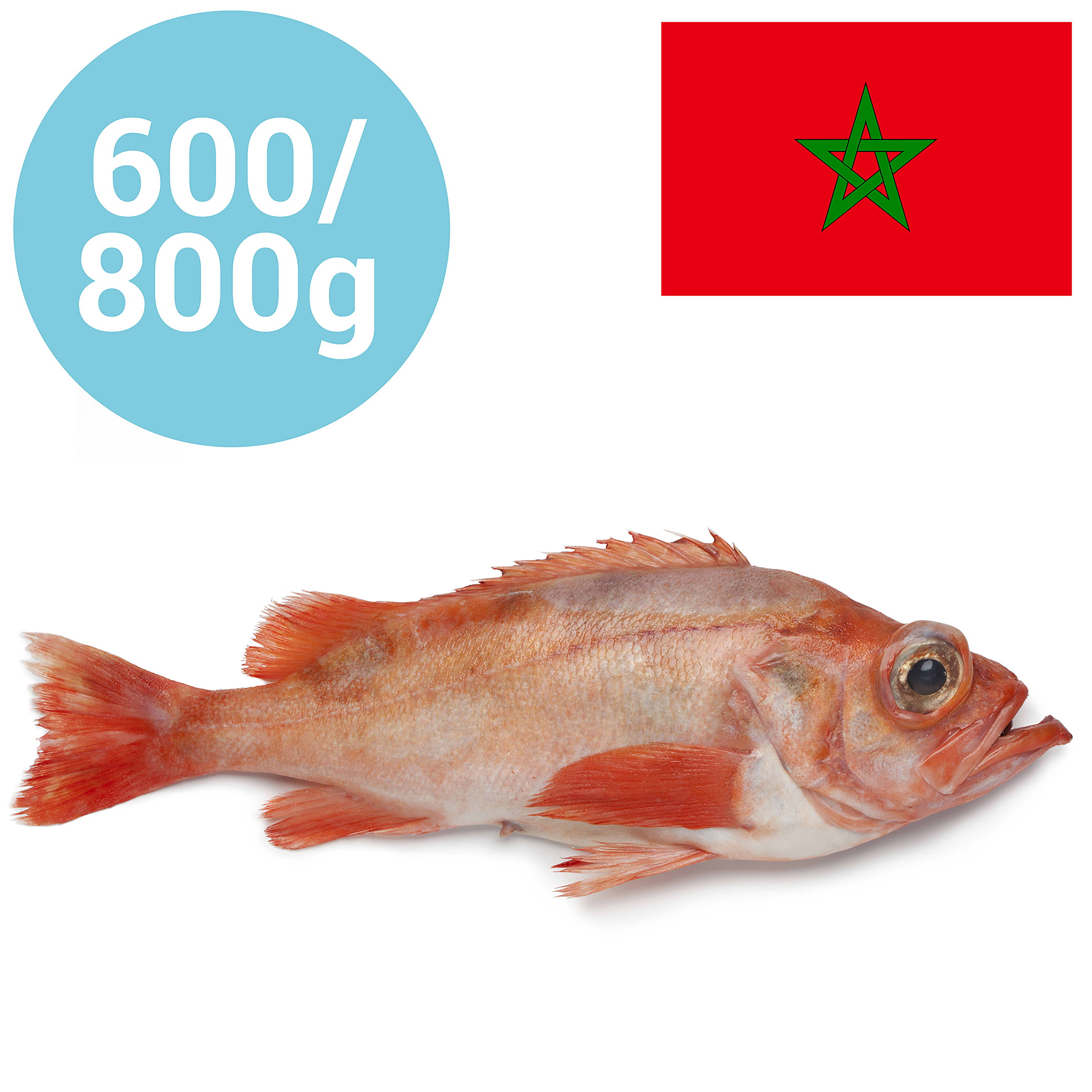 ROTBARSCH 200-400g