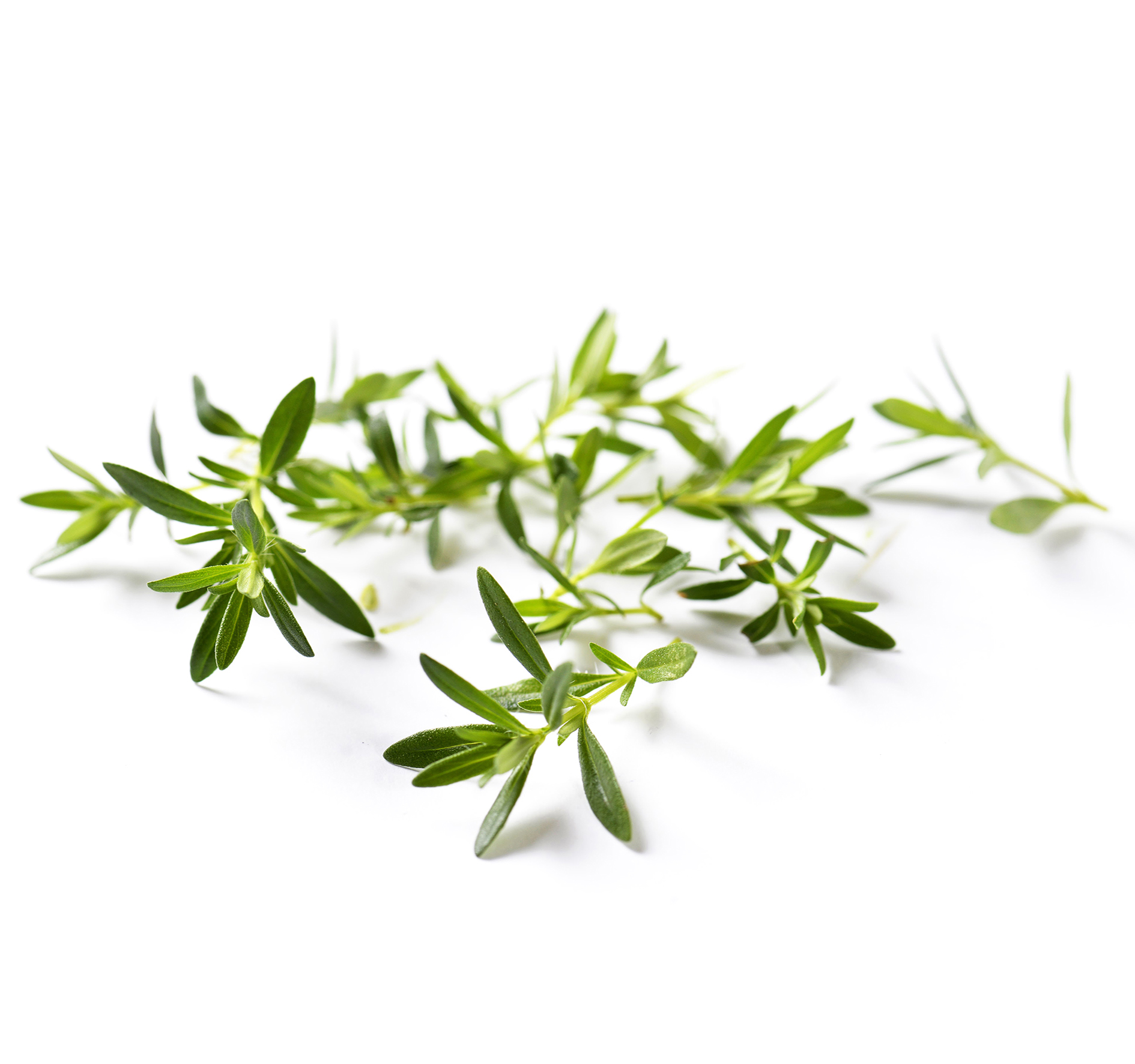 ALPIN HERBS ERBA DA CUCINA SANTOREGGIA 50g