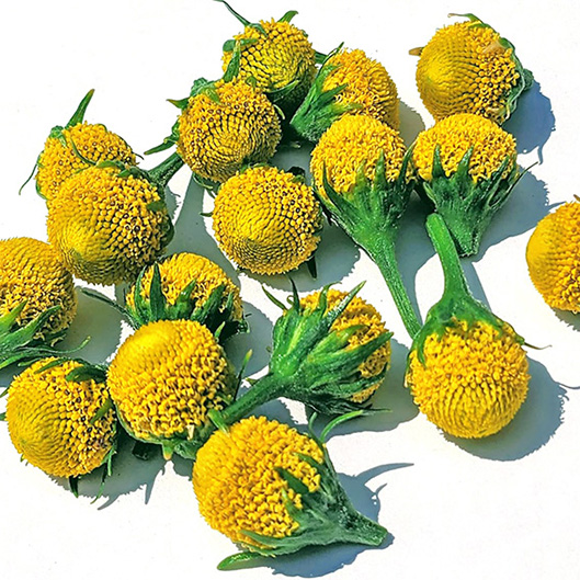 ALPIN HERBS 15 FIORI DI SZECHUAN 10g