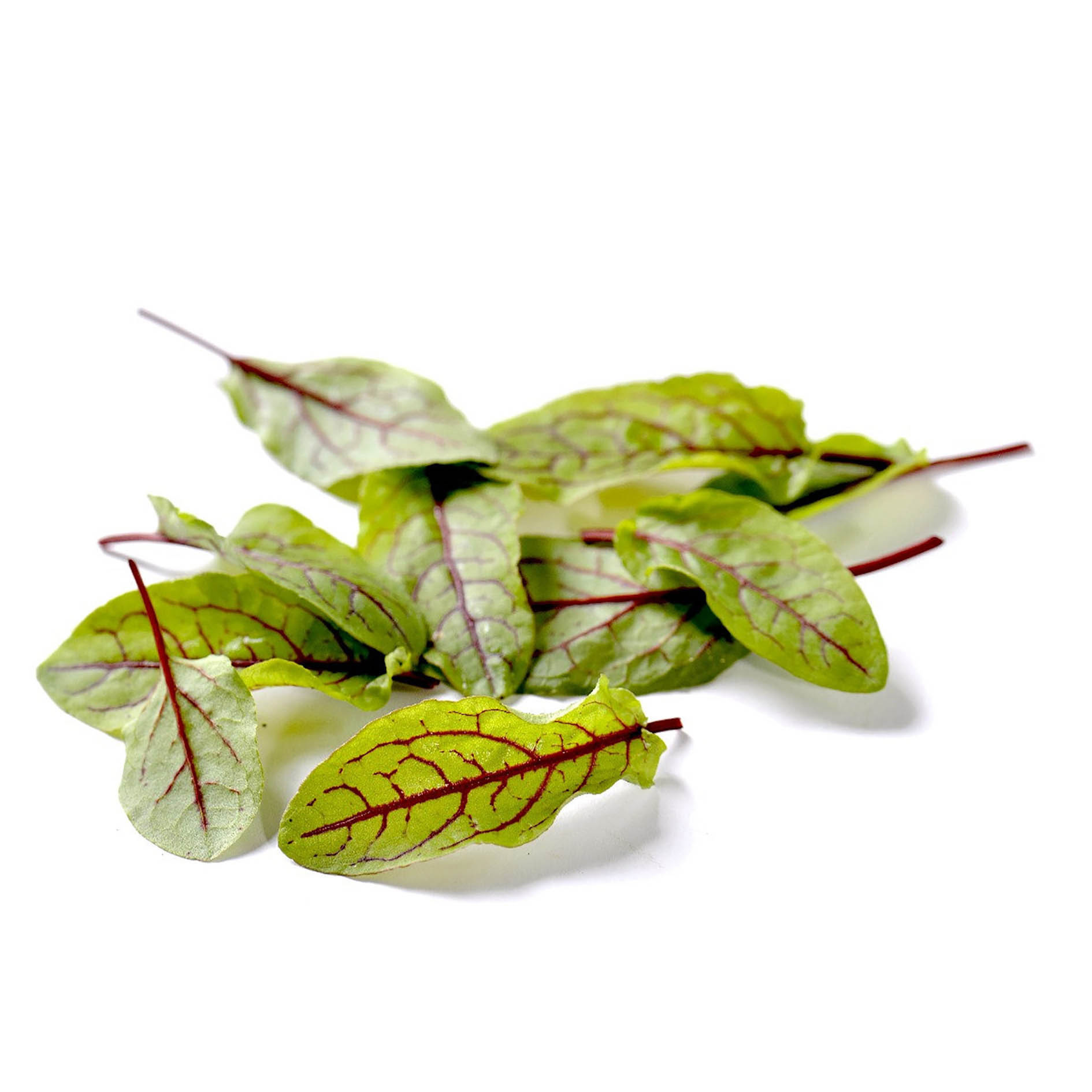 ALPIN HERBS 60 FOGLIE ACETOSELLA ROSSA MICRO 10g
