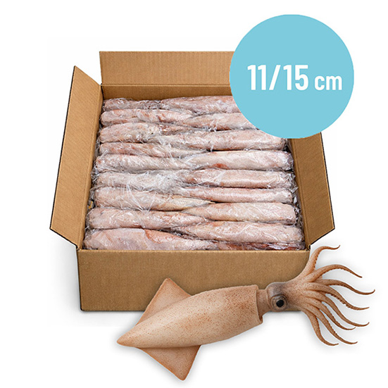 CALAMARI 3P 11/15cm MAROCCO CONG.