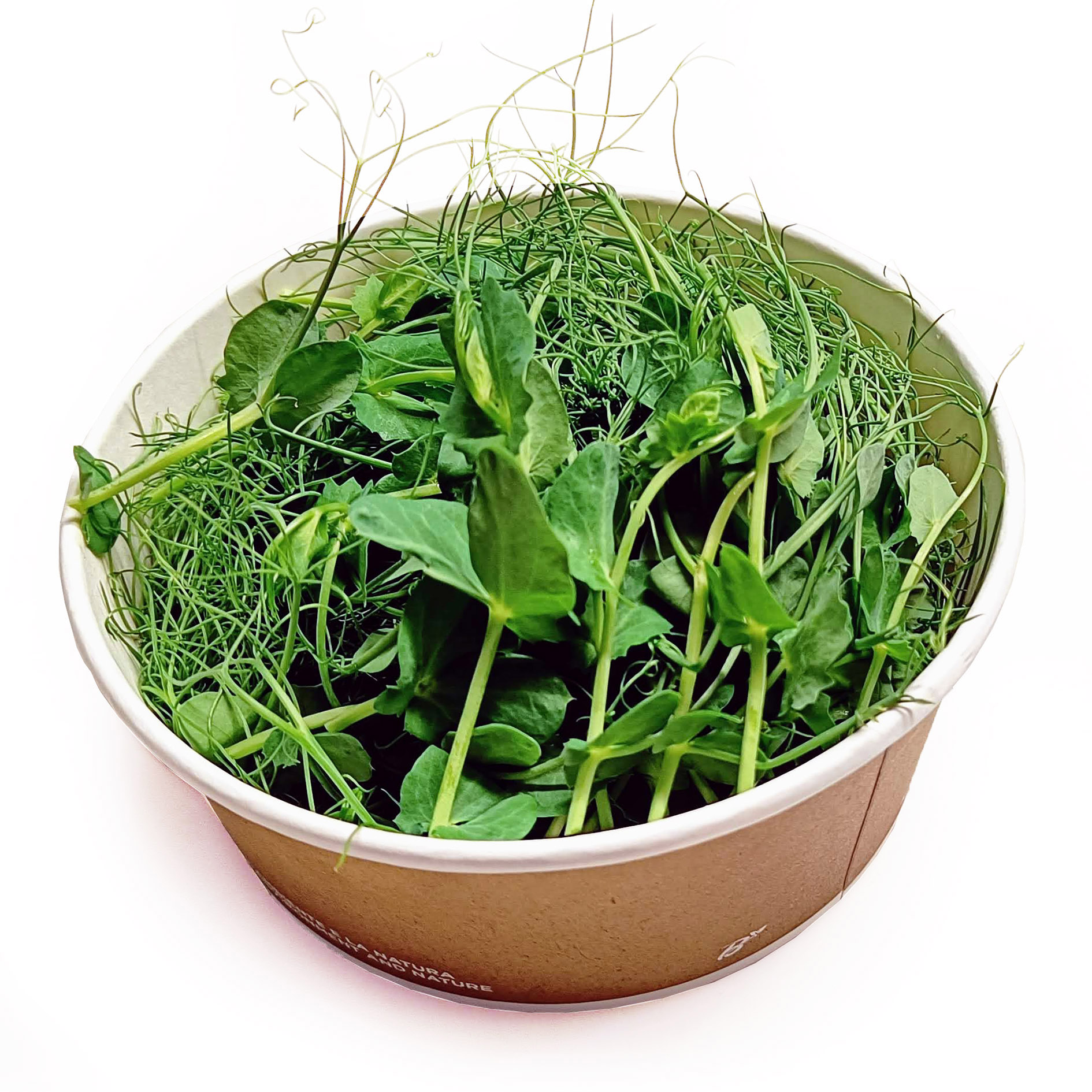 ALPIN HERBS KRESSE ERBSEN GESCHNITTEN 70g