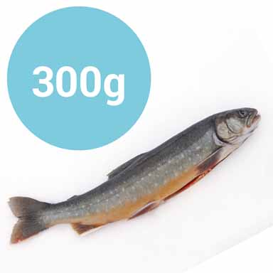 AUSGENOMMENE ALPENSAIBLING 300g+