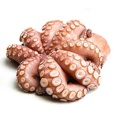POLPO DECONG. MAROCCO T6  (800g-1200g)