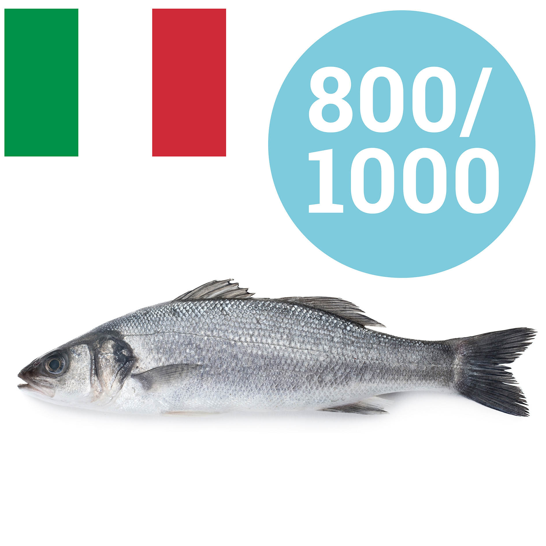 BRANZINO ITALIA 800-1000g ALLEVATO
