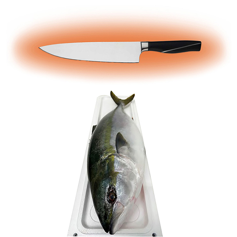 BERNSTEINFISCH 'HAMACHI' GEZÜCHTET VERARBEITET
