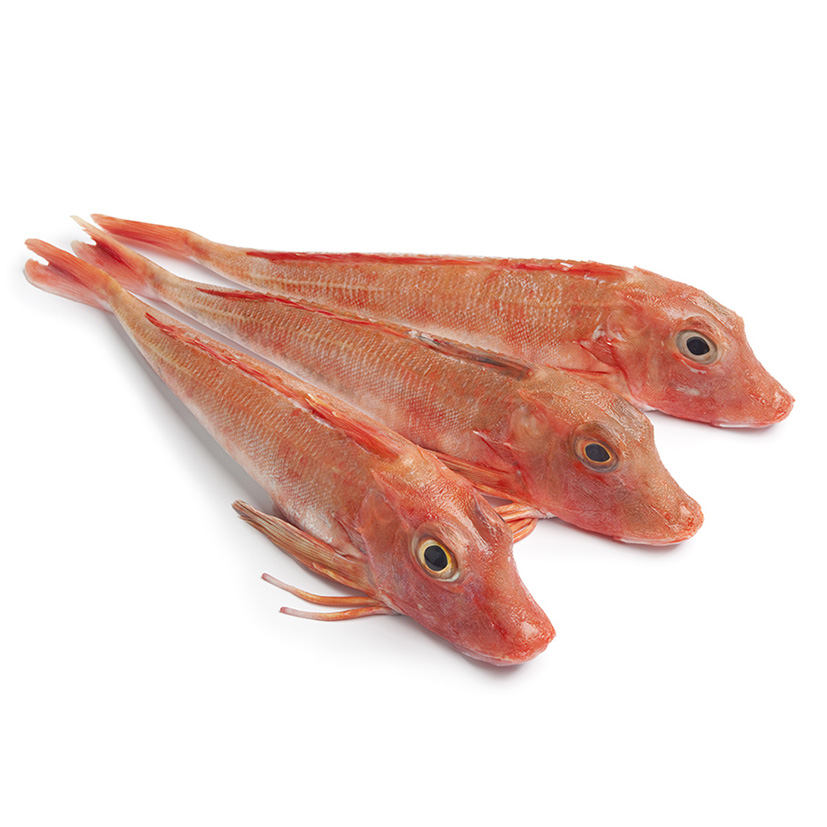 KNURRHAHN 1-2 kg WILDFANG