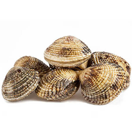 MEERESTRÜFFEL ATLANTIK - 1x1kg