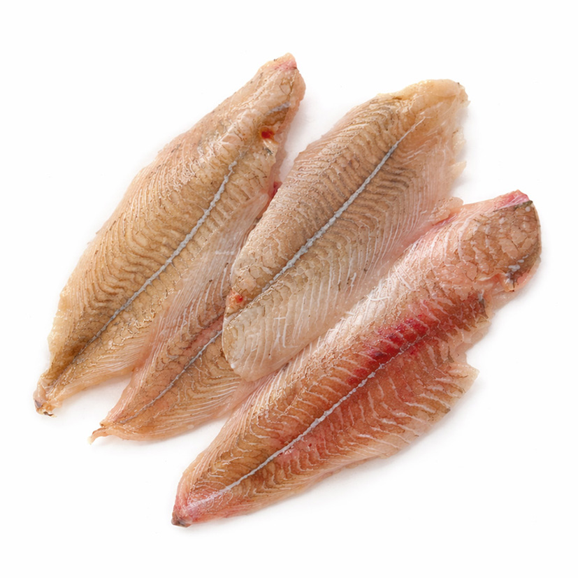 SCHOLLENFILETS XL OHNE  HAUT -ca.100g- 1kg