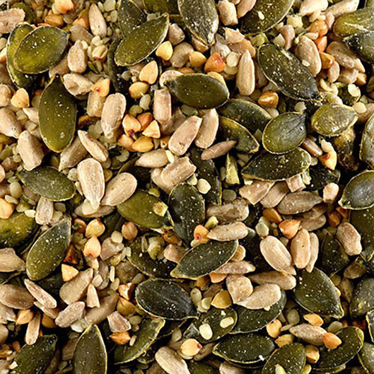 TOPPING INSALATA MIX DI SEMI BIO* 2,5kg 'NOVO'