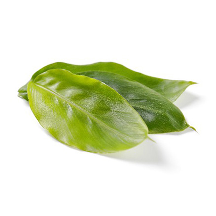 ALPIN HERBS 15 FOGLIE AL AROMA DI CANNELLA 7g