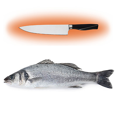 WOLFSBARSCH 2kg+ GEZÜCHTET VERARBEITET