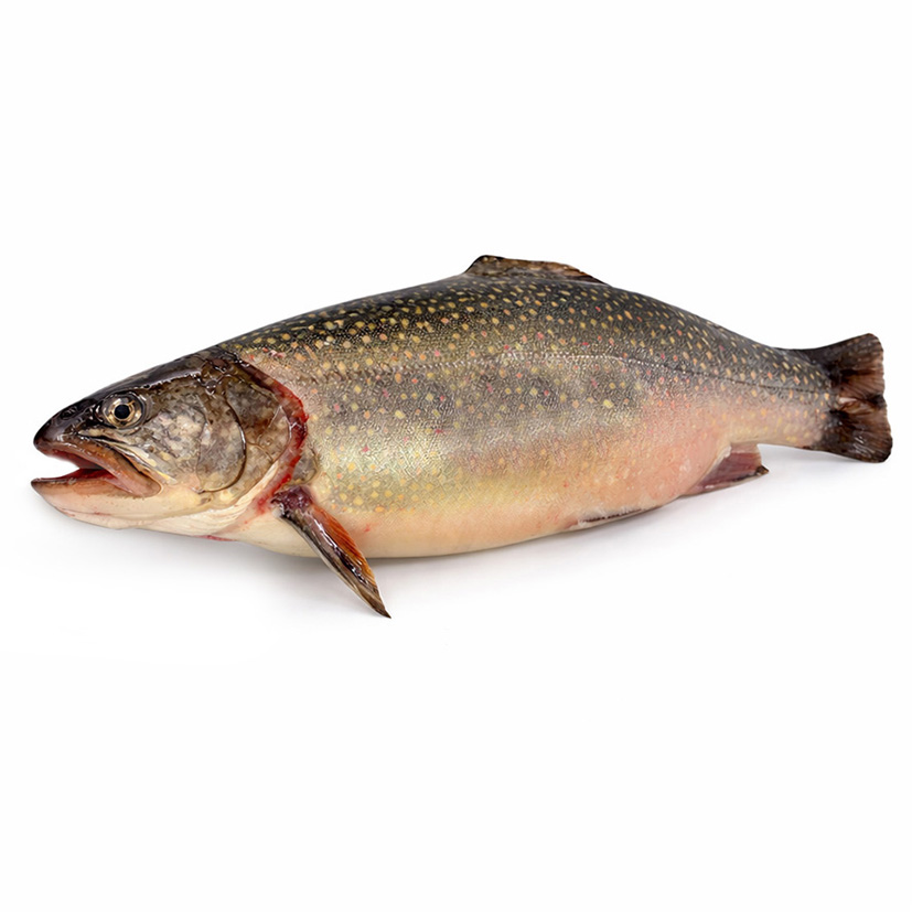 SALMERINO ALPINO -INTERO- 1,5-2,5kg