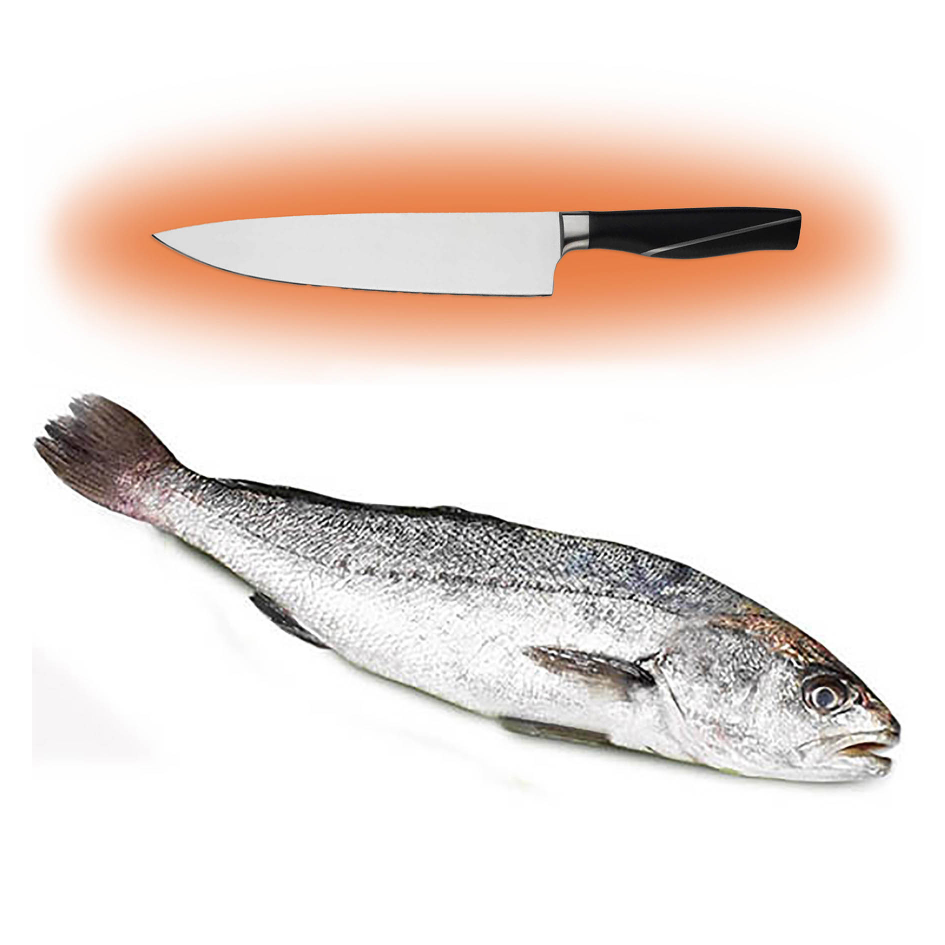 UMBERFISCH BOCCADORO 4kg+ GEZÜCH. VERARBEITET