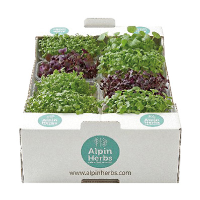 ALPIN HERBS MORNING GREENS KRESSE 8x150g