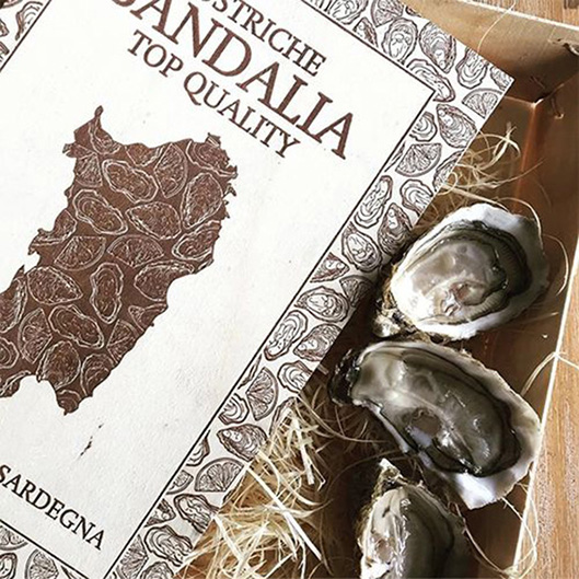 AUSTERN CONCAVA SANDALIA N.3 - 2Kg