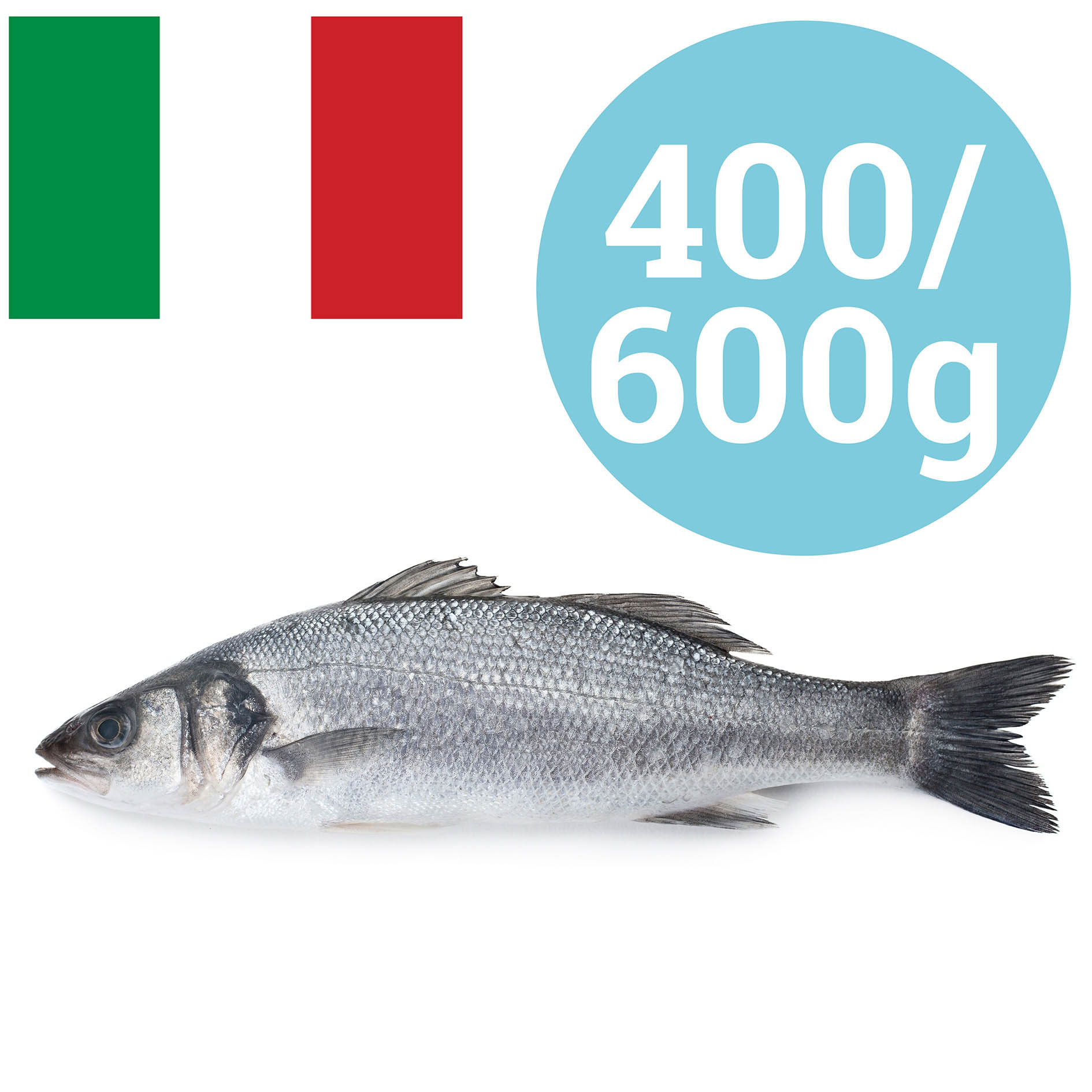 WOLFSBARSCH ITALIEN 600-800g GEZÜCHTET