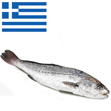 OMBRINA BOCCADORO GRECIA 4kg+ ALLEVATA