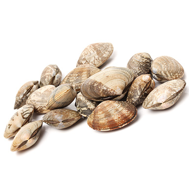 VONGOLE VERACI EXTRA ITALIA