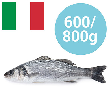 BRANZINO ITALIA 450-700g ALLEVATO