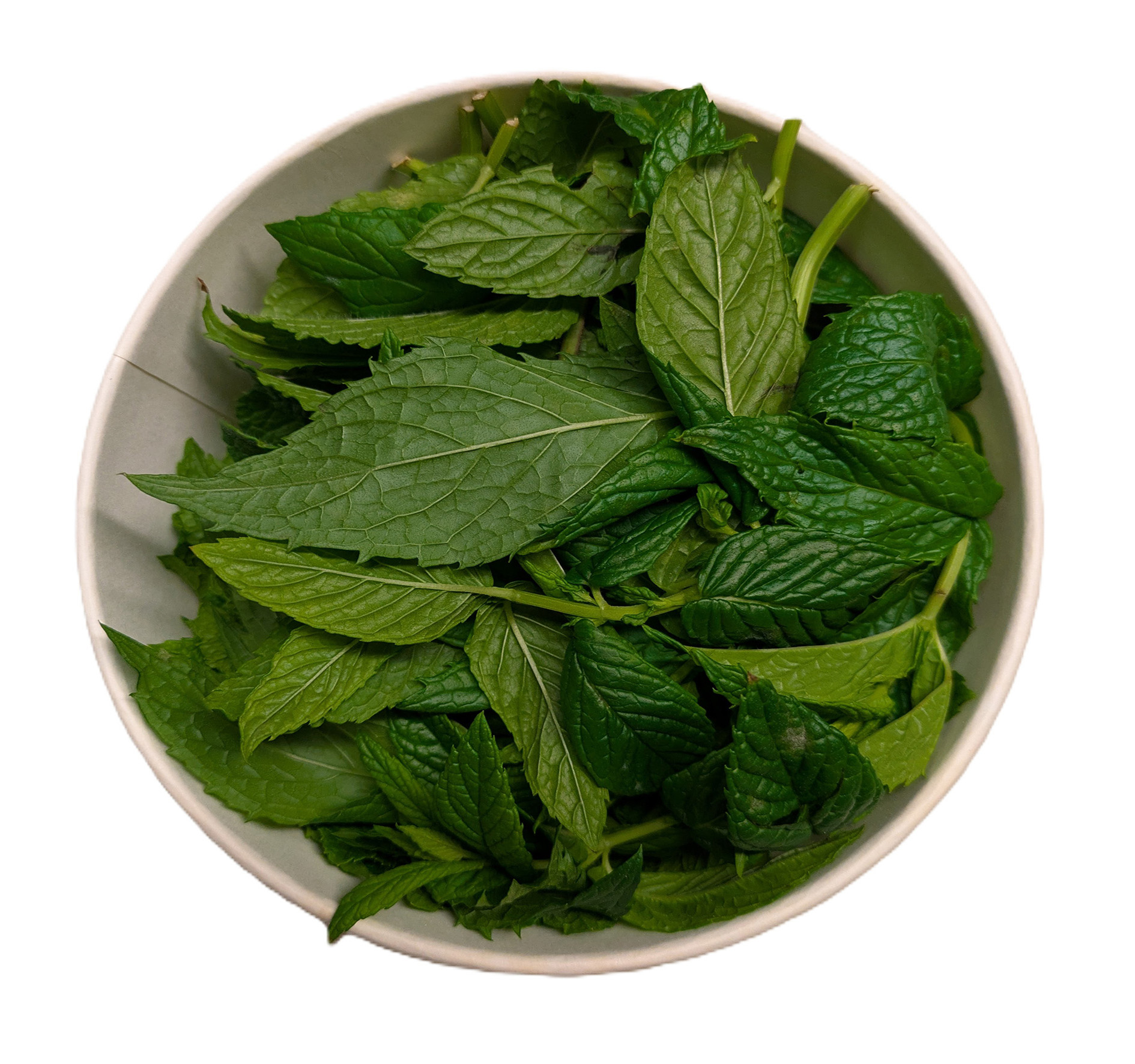 ALPIN HERBS ERBA DA CUCINA MENTA 50g