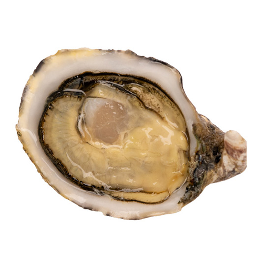 OSTRICA CONCAVA PERLA DEL DOGE N.3 - 1x2Kg