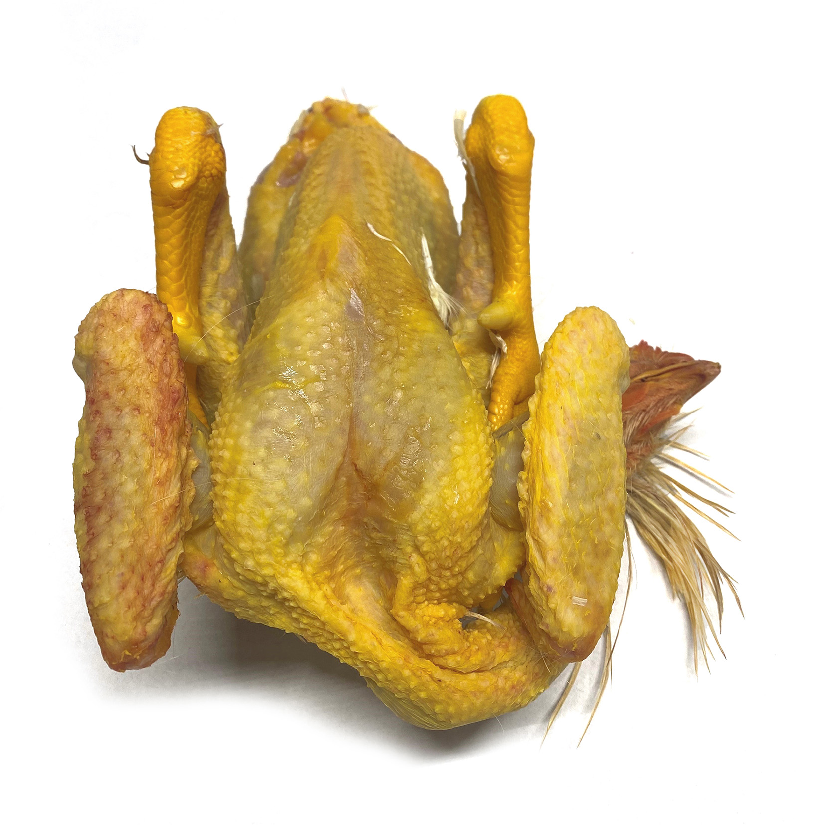 KAPAUN TRADITIONELL FRISCH