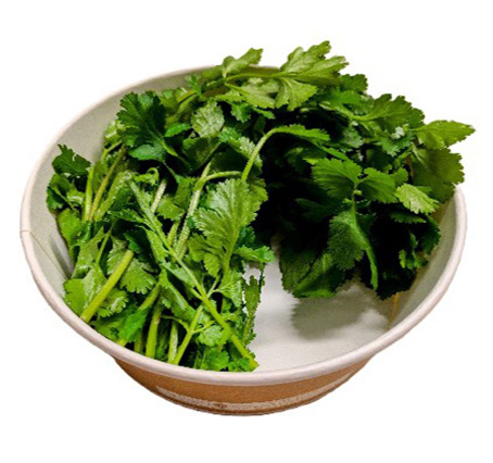 ALPIN HERBS ERBA DA CUCINA CORIANDOLO 50g