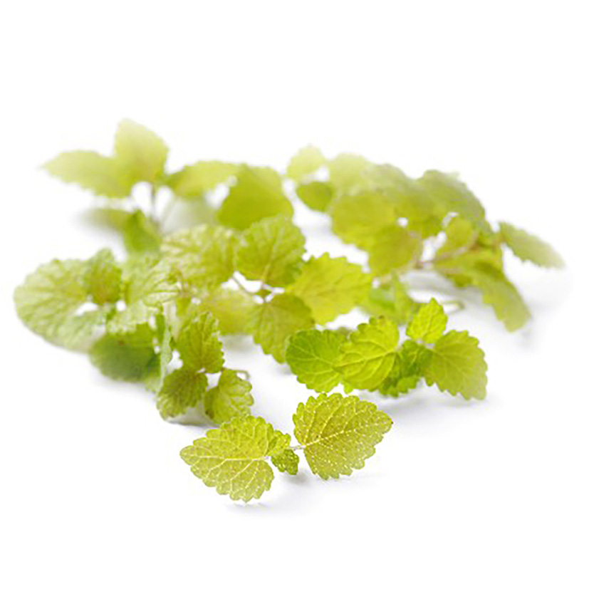 ALPIN HERBS KRESSE ZITRONENMELISSE 8x150g