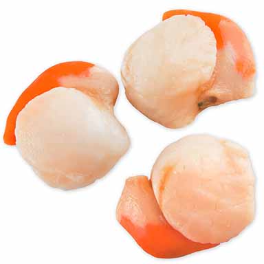 OSTRICA CONCAVA PETER PAN N6 - 1x1,2Kg