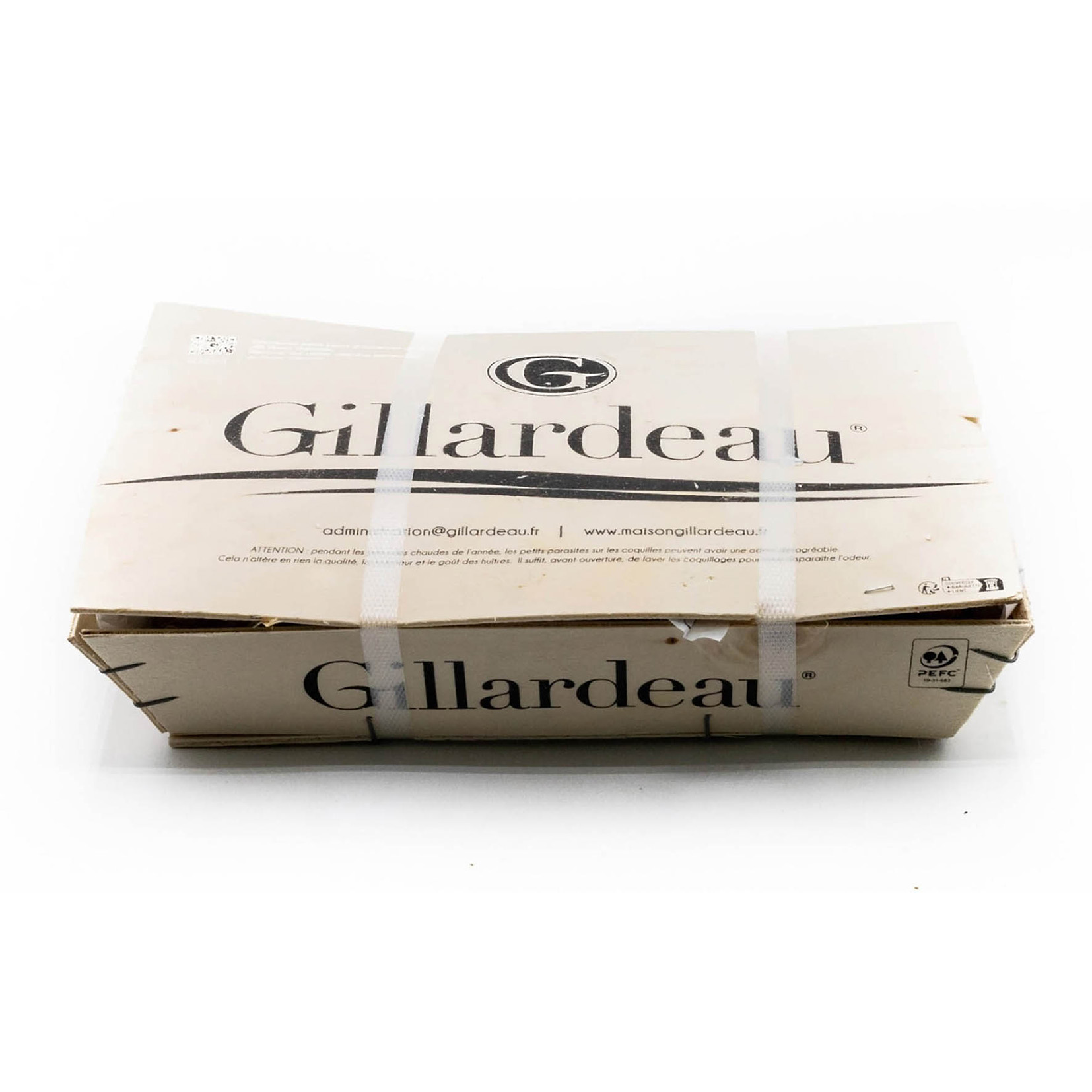 AUSTERN KONCAV GILLARDEAU N.4 - 1,75kg