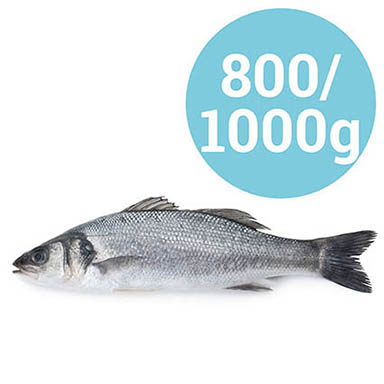 BRANZINO GRECIA 800-1000g ALLEVATO