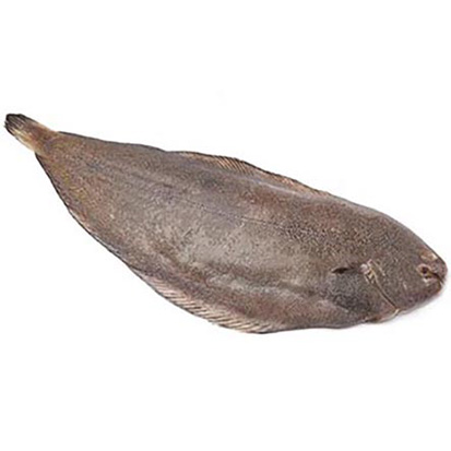 SEEZUNGE 190-250g ITALIEN