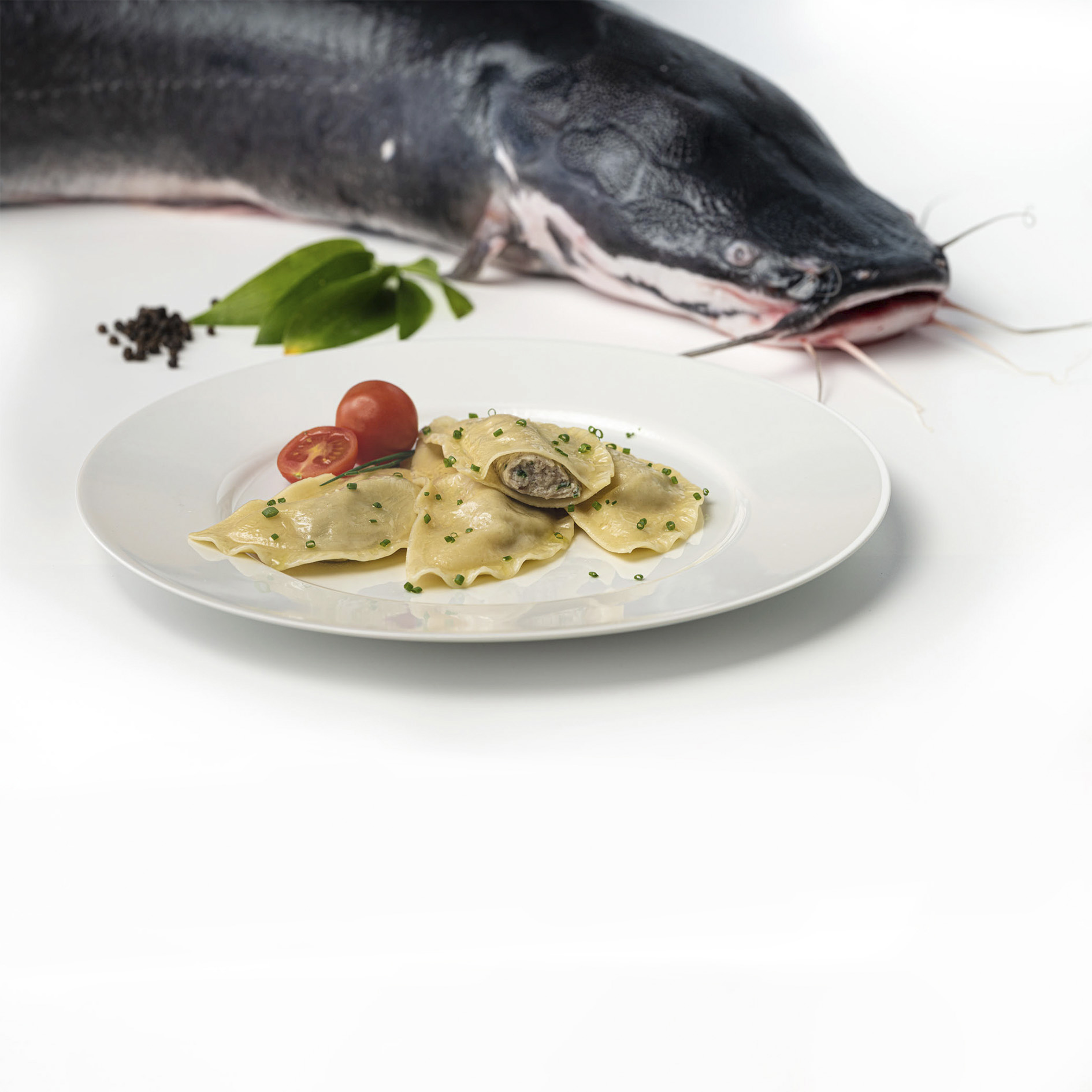 MEZZELUNE PESCE GATTO 'FATTI A CASA' 84x CG 'FOPPA