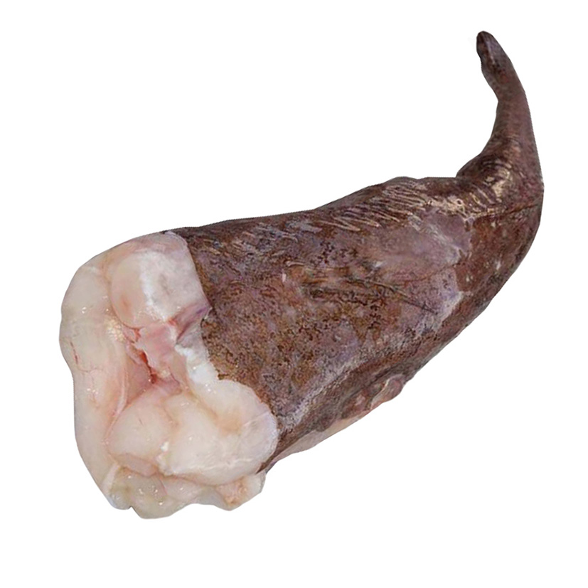 SEETEUFEL 2kg+