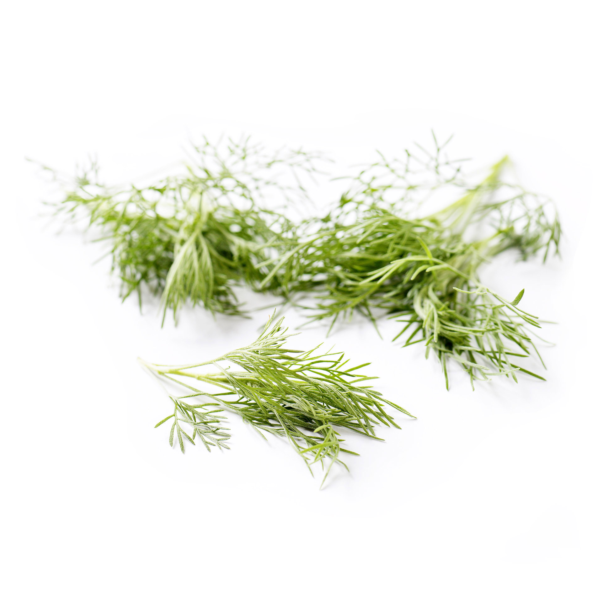 ALPIN HERBS COLAKRAUT 50 SPITZEN 10g