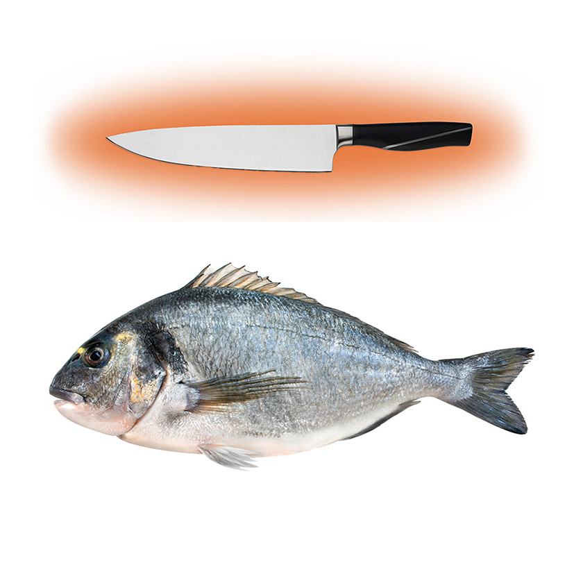 ORATA 300-400g ALLEVATA LAVORATA